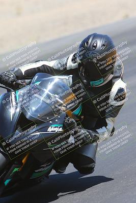 media/May-11-2024-SoCal Trackdays (Sat) [[cc414cfff5]]/8-Turn 6 Inside (11am)/